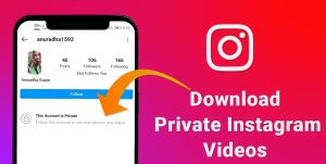 How To Download Private Instagram Videos